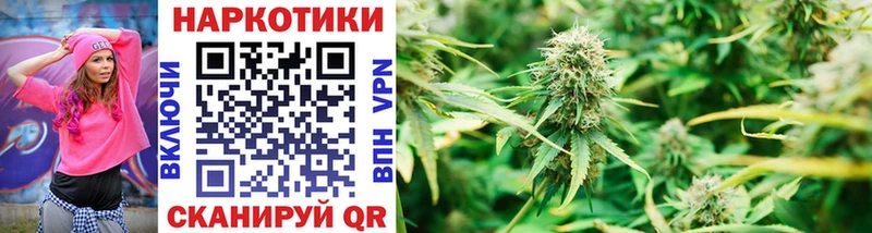 Купить наркоту Орехово-Зуево Псилоцибиновые грибы  Альфа ПВП  Кодеин  Каннабис  ГАШ  МЕФ 