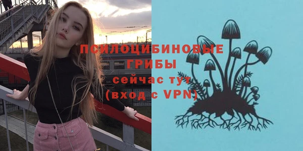 первитин Рославль