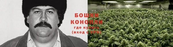 спайс Ростов