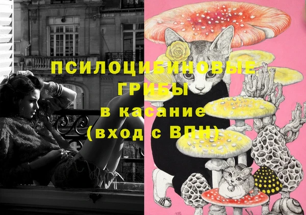 мдпв Бикин